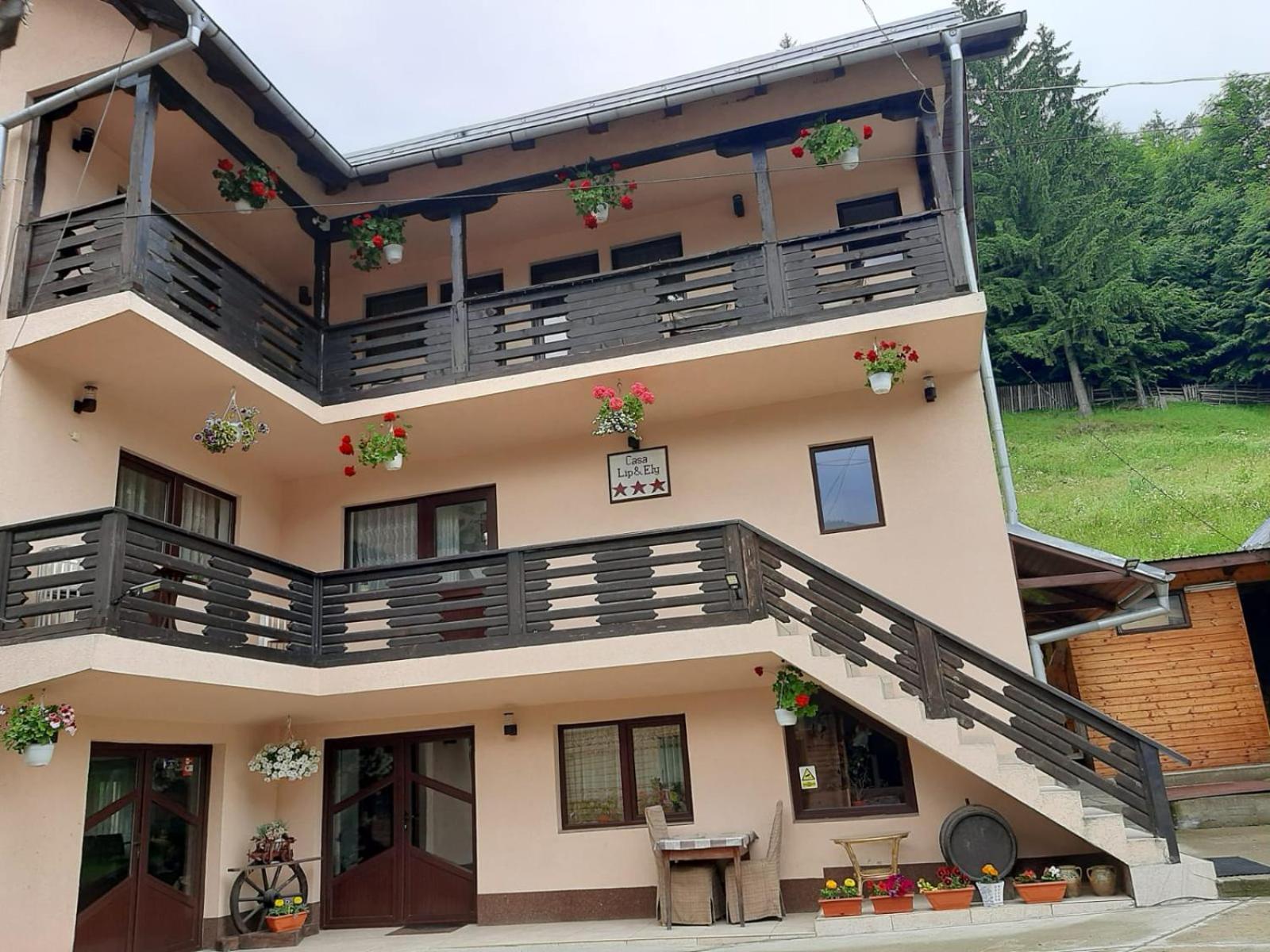 Lip Si Ely Hotel Dimbovicioara Exterior photo