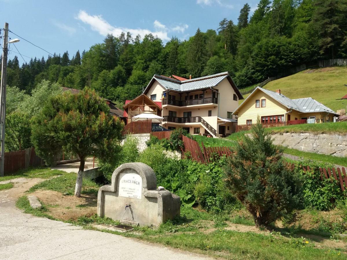Lip Si Ely Hotel Dimbovicioara Exterior photo