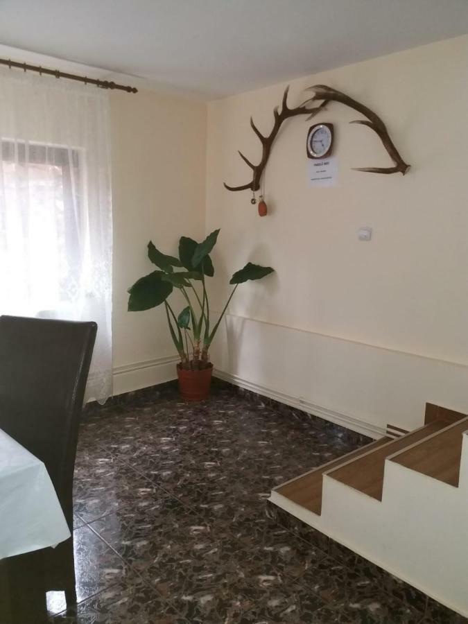 Lip Si Ely Hotel Dimbovicioara Exterior photo